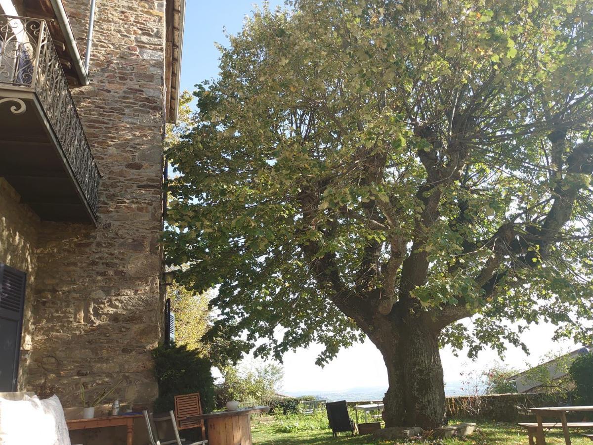 Chateau De Riverie Chambres Et Table D'Hotes Kültér fotó