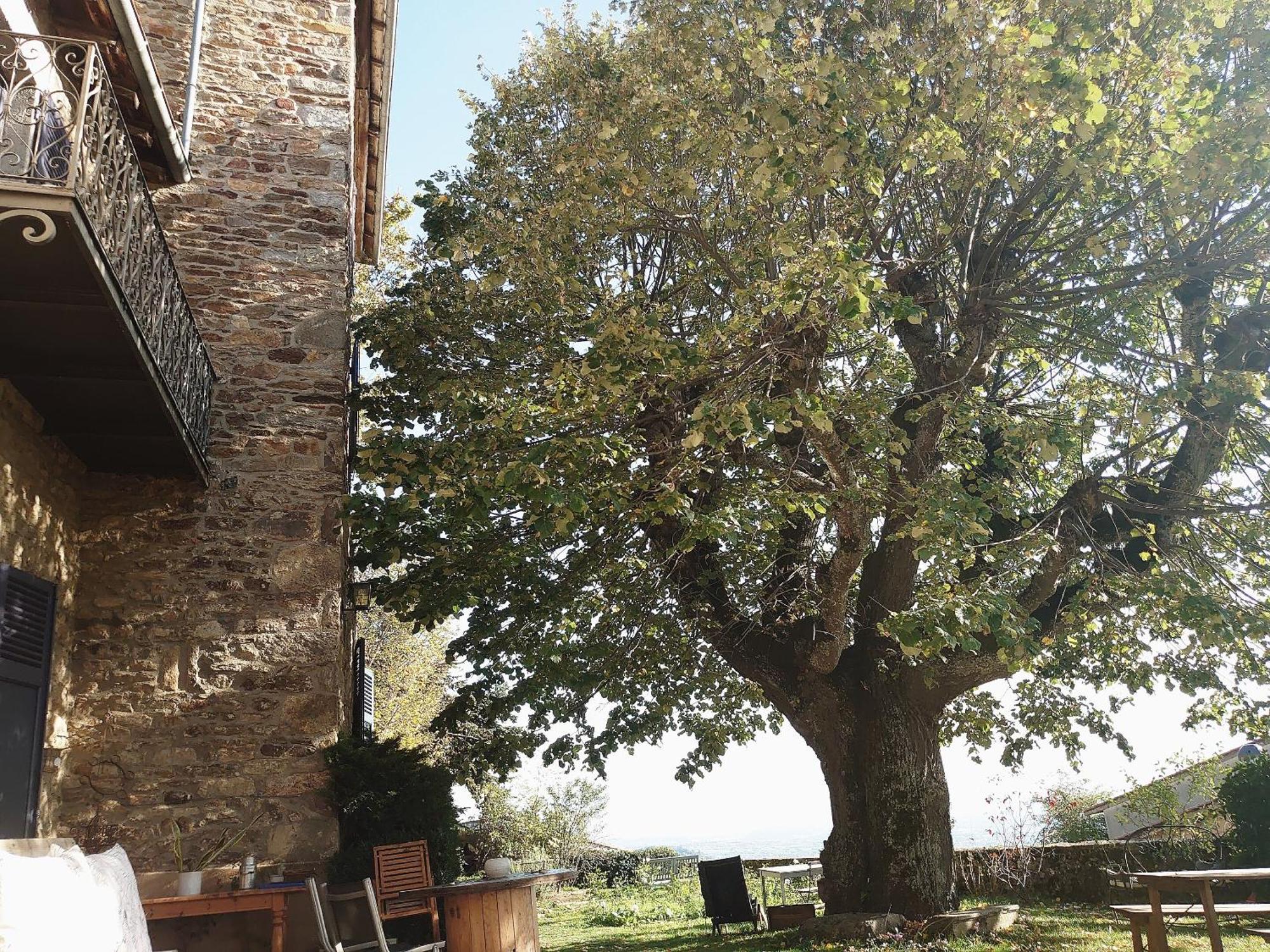 Chateau De Riverie Chambres Et Table D'Hotes Kültér fotó